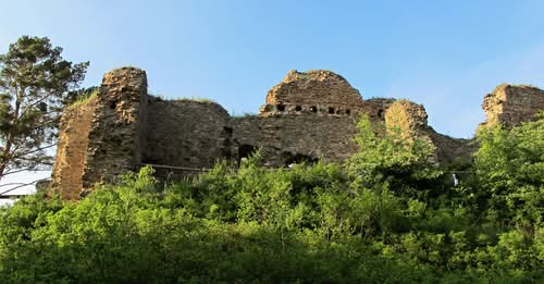 Vrškamýk